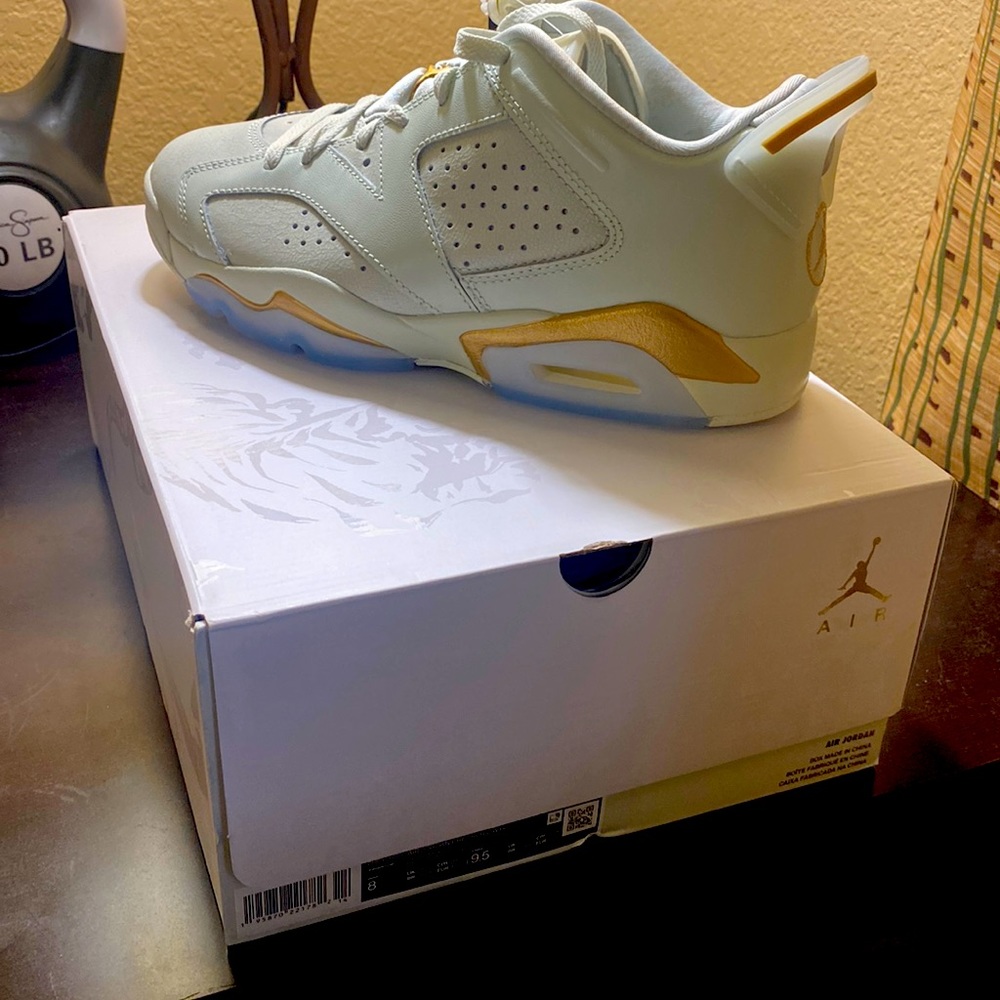 Brand new, never worn Air Jordan 6 retro